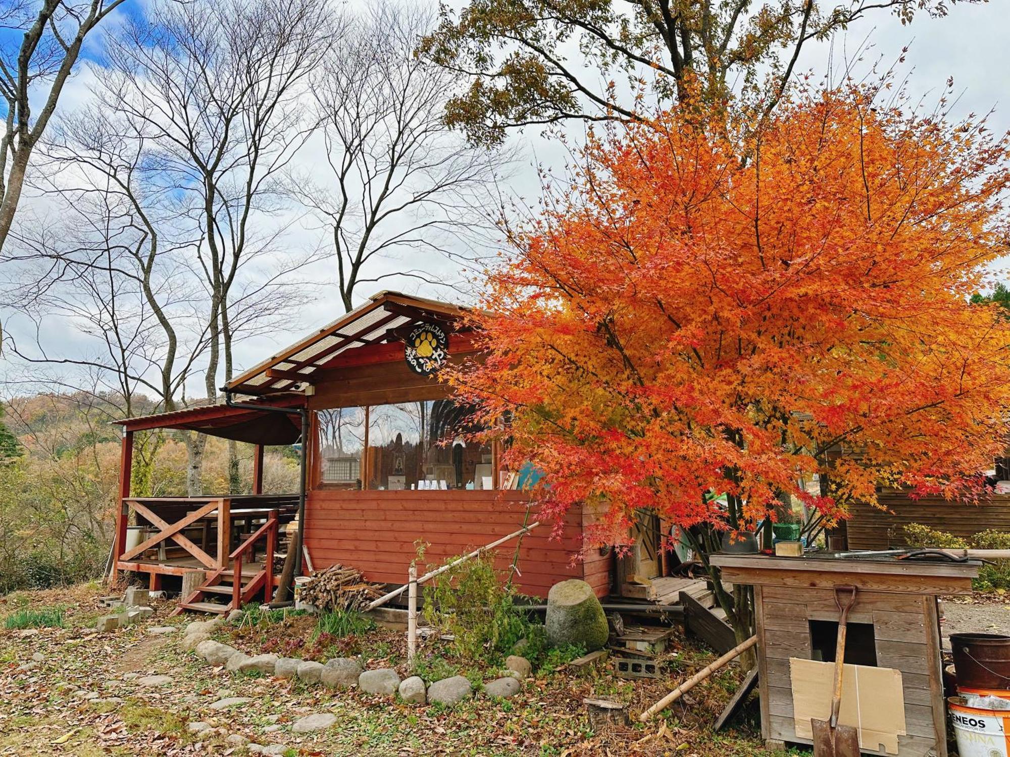 Guesthouse Kurihai Oita Exterior foto